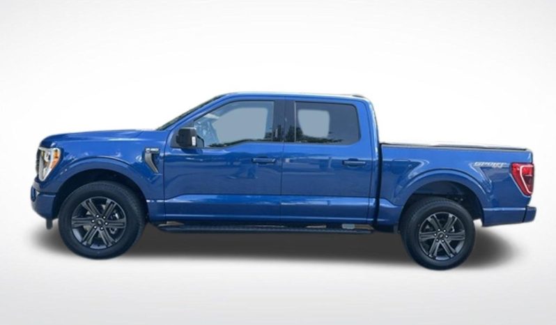 2023 Ford F-150 XLT – BC262150A full