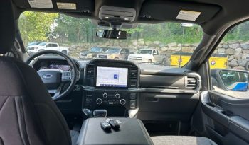 2023 Ford F-150 XLT – BC262150A full