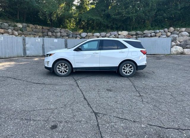 2019 Chevrolet Equinox LS – BCP0419A full