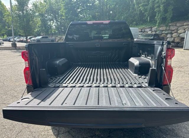 2023 Chevrolet Silverado 1500 Custom Trail Boss – BCP0368 full