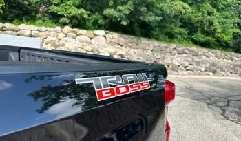 2023 Chevrolet Silverado 1500 Custom Trail Boss – BCP0368 full