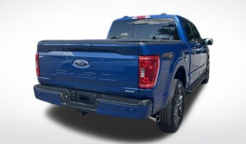 2023 Ford F-150 XLT – BC262150A full